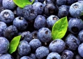 Лохина 2,5 кг.